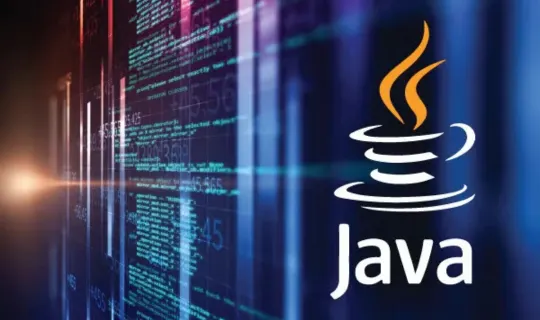 Java Full Stack Developer