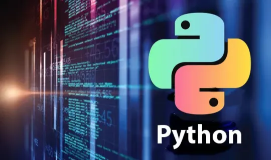 Python Full Stack Developer
