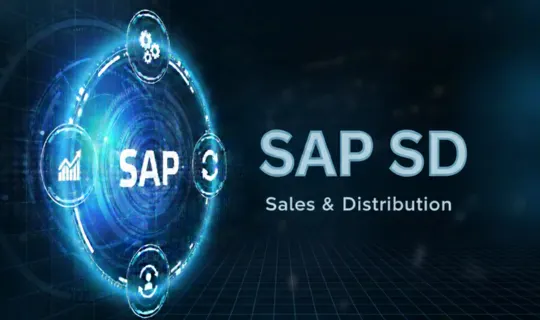 SAP SD training in pune with job guarantee